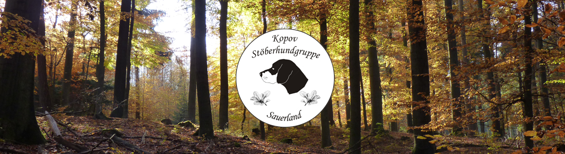 Kopov-Stöberhundgruppe